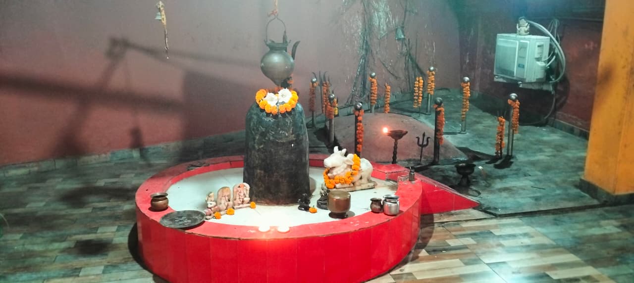 WhatsApp Image 2026-03-15 at 12.20.41 PM-2