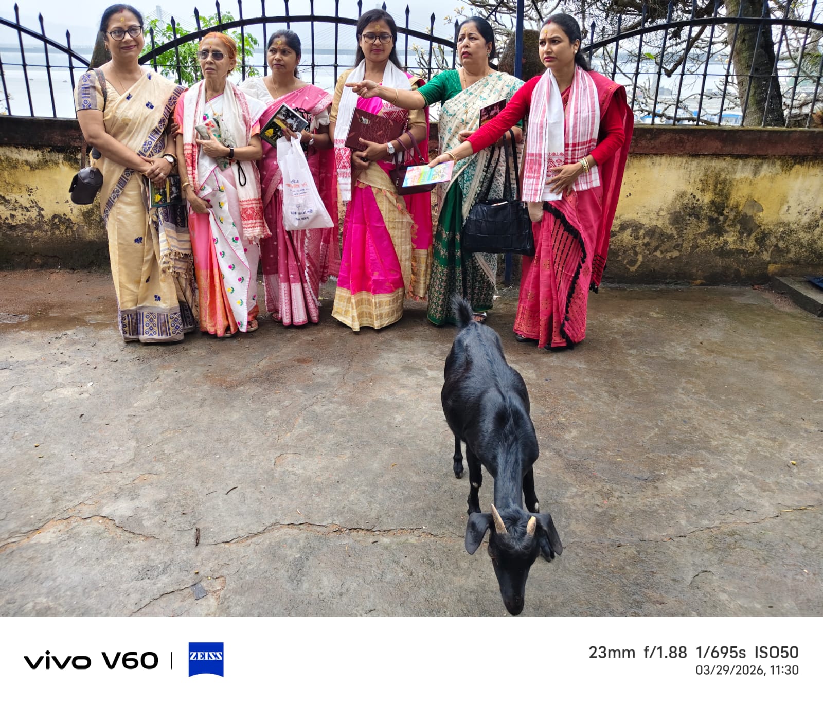 WhatsApp Image 2026-03-29 at 4.15.27 PM (1)